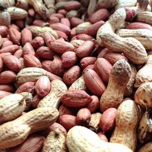 多品类食用油脂及酱类加工